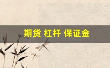 期货 杠杆 保证金(期货杠杆保证金怎么交)_https://www.luoxuangg888.com_深交所_第1张
